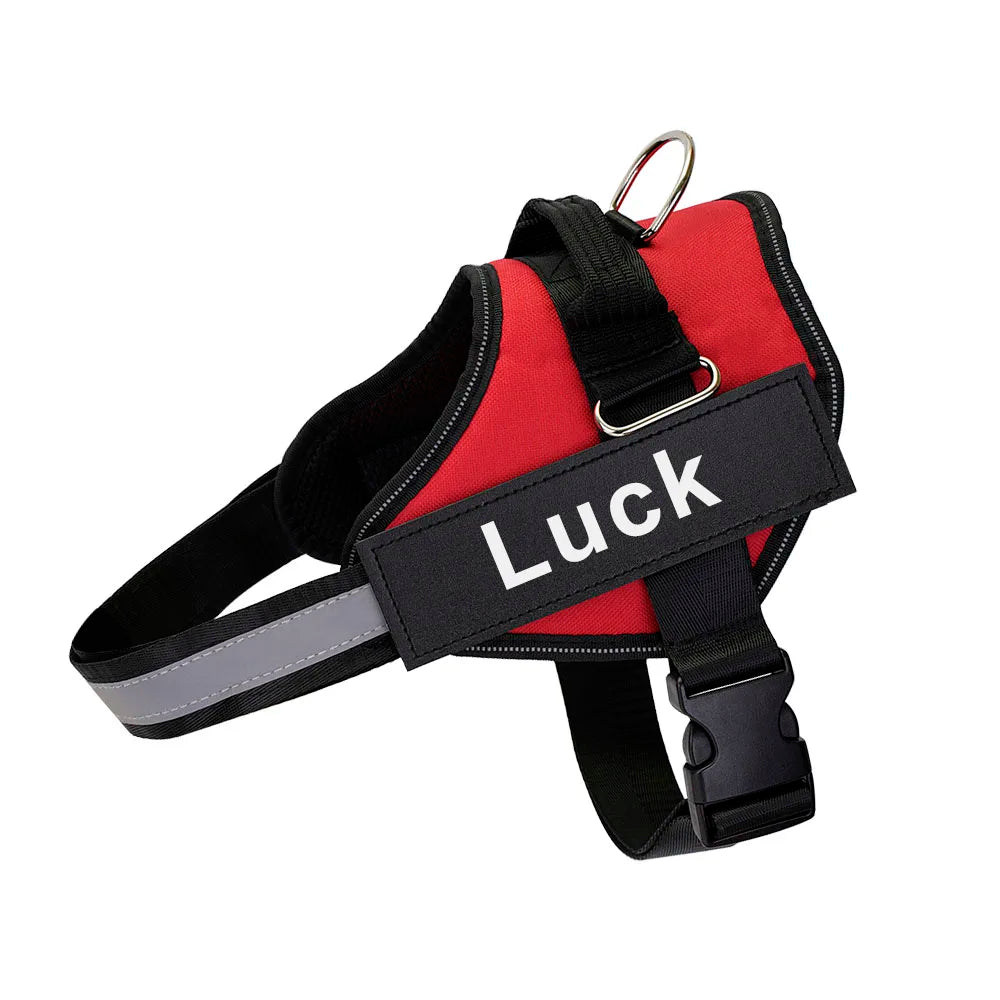 Personalized Dog Harness. Reflective, Adjustable. For small, large Dog. With Training Supplies .