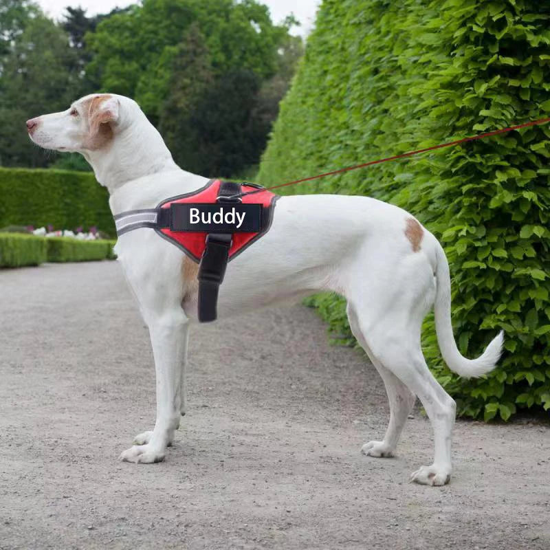Personalized Dog Harness. Reflective, Adjustable. For small, large Dog. With Training Supplies .