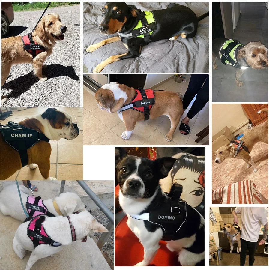 Dog Harness, NO PULL, Reflective, Breathable, Adjustable Pet Harness. Vest ID Custom Patch.