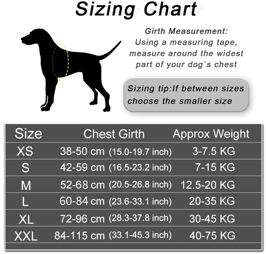 Personalized Dog Harness. Reflective, Adjustable. For small, large Dog. With Training Supplies .