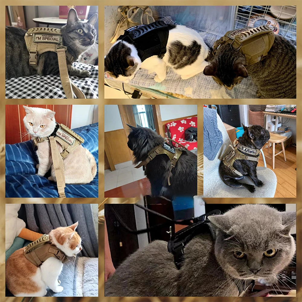 Tactical Cat Harness - Adjustable Puppy Vest For Small Dogs. Cat Accessories.