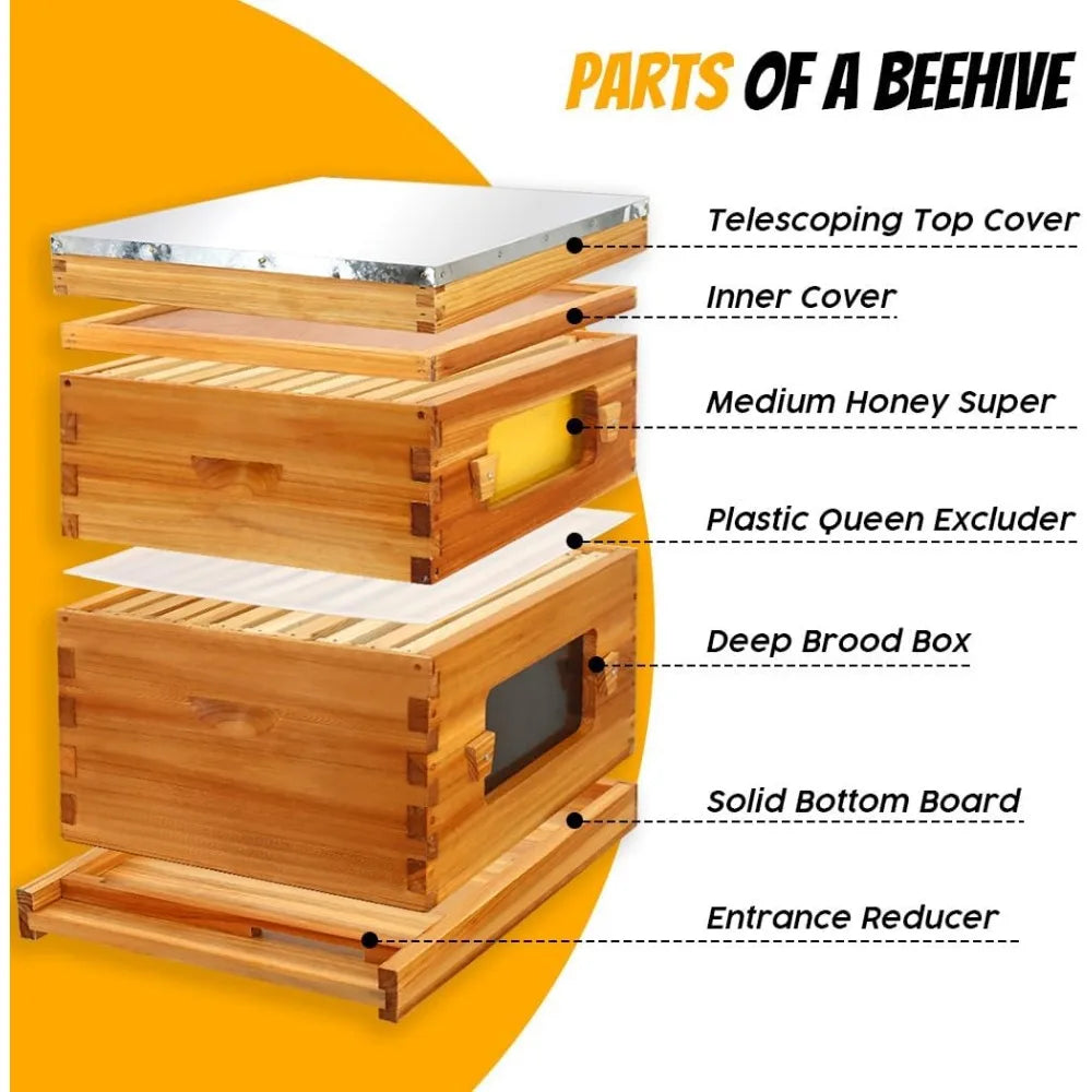 Honey Lake 10 Frame Langstroth Beehive Starter Kit – Wax-Dipped with Viewing Windows, Deep Brood Box, Medium Super.