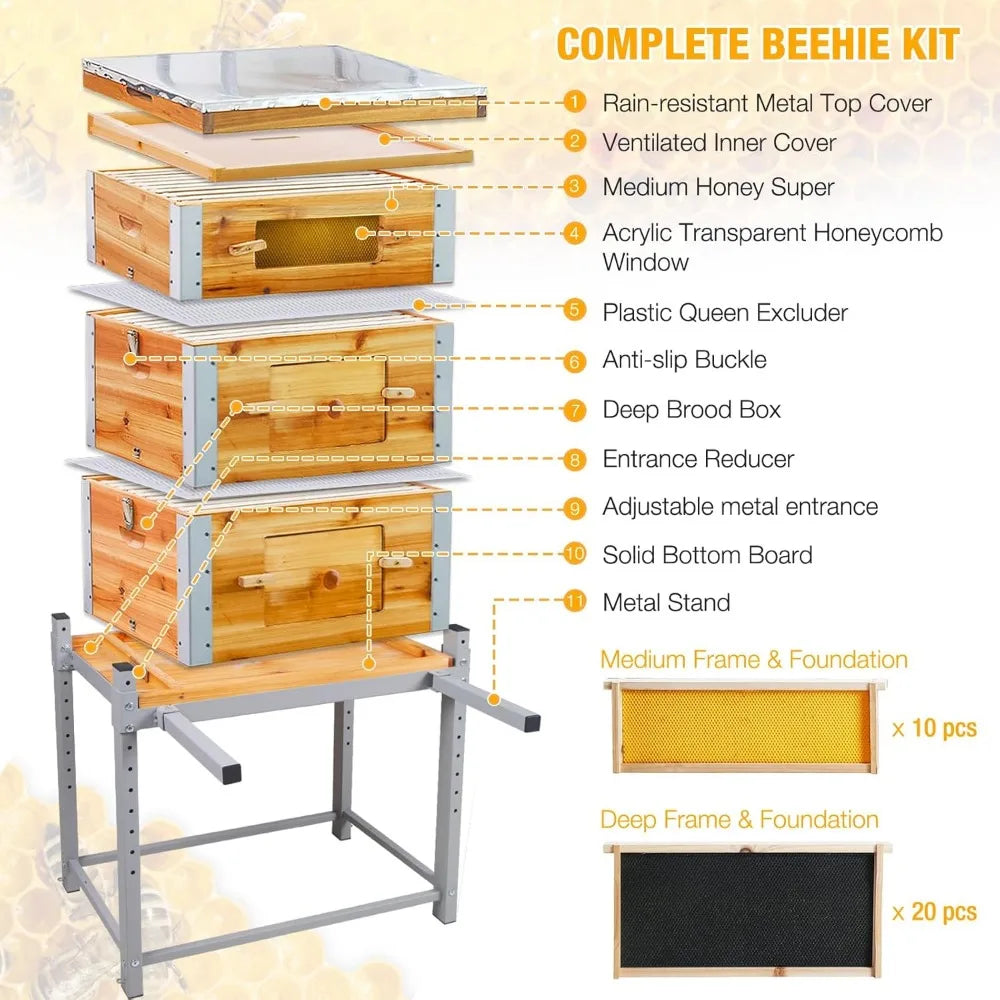 Bee Hive Starter Kit with Metal Stand.100% Beeswax Coated with 10 Medium and 20 Deep Frames & Foundations(3 Layer)