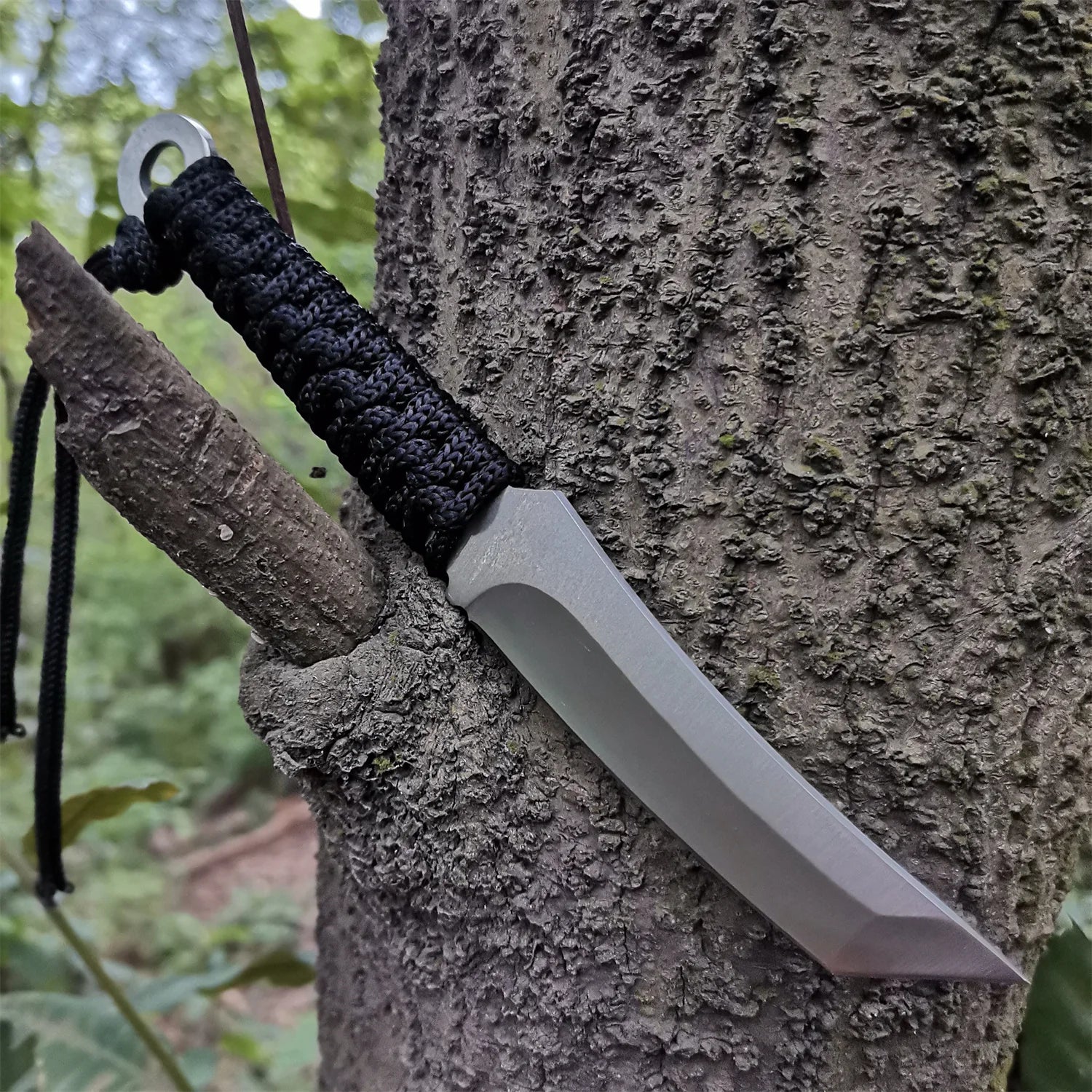 High carbon S.S. Fixed Blade Knife With Sheath And Cord.