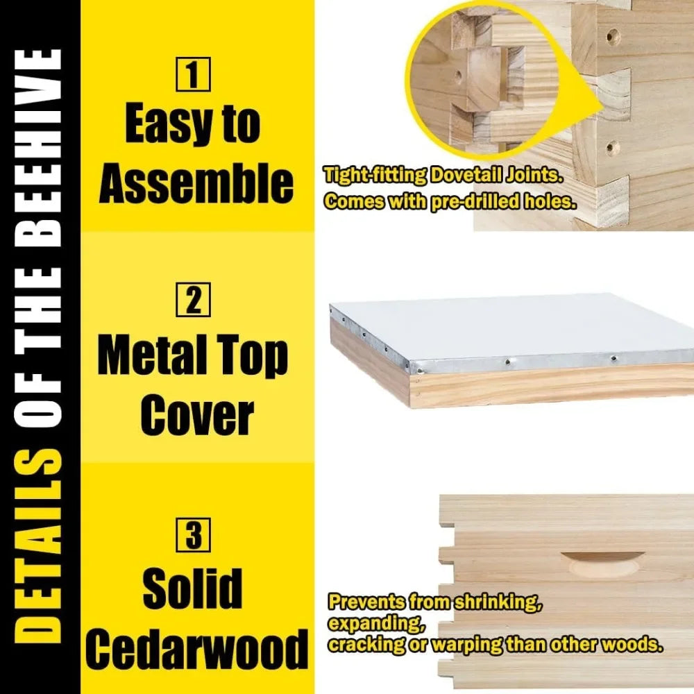 10-Frame Complete Bee Hive Starter Kit – Includes Frames & Waxed Foundations.