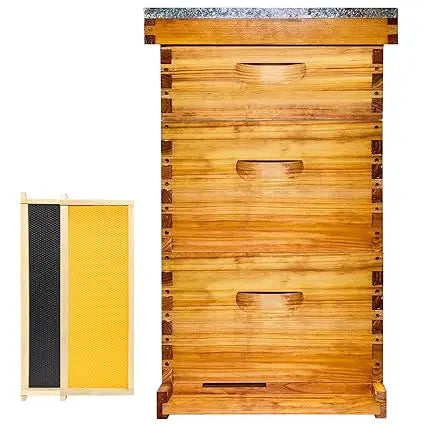 Gold Standard 8 Frame Bee Hive. Beeswax Coated. Includes Beehive Frames and Foundations. (2 Deep Boxes & 1 Medium Box)