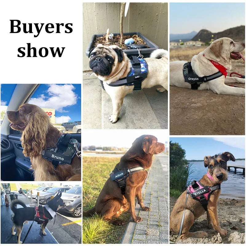 Personalized, NO PULL, Reflective ,Breathable Vest For Small, Large Dogs. Training Accessories.