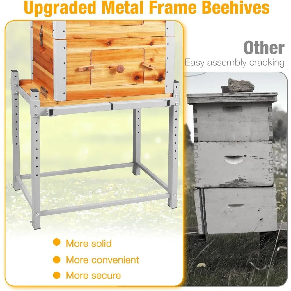 Bee Hive Starter Kit with Metal Stand.100% Beeswax Coated with 10 Medium and 20 Deep Frames & Foundations(3 Layer)