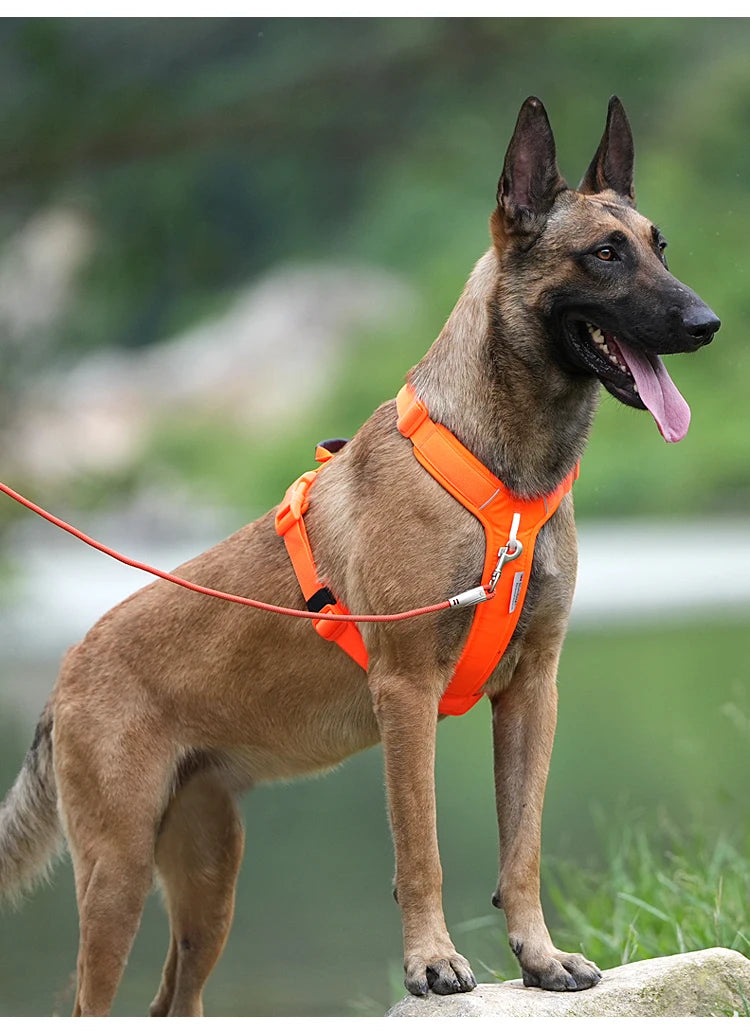 Pet Harness- No Pull Reflective. Small- Medium- Large- Adjustable.