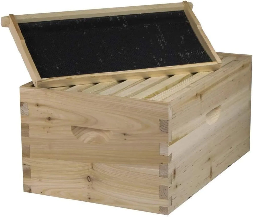 Bee Hive Complete with Frames & Wax Coated Foundations