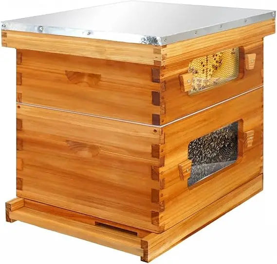 Honey Lake 10 Frame Langstroth Beehive Starter Kit – Wax-Dipped with Viewing Windows, Deep Brood Box, Medium Super.