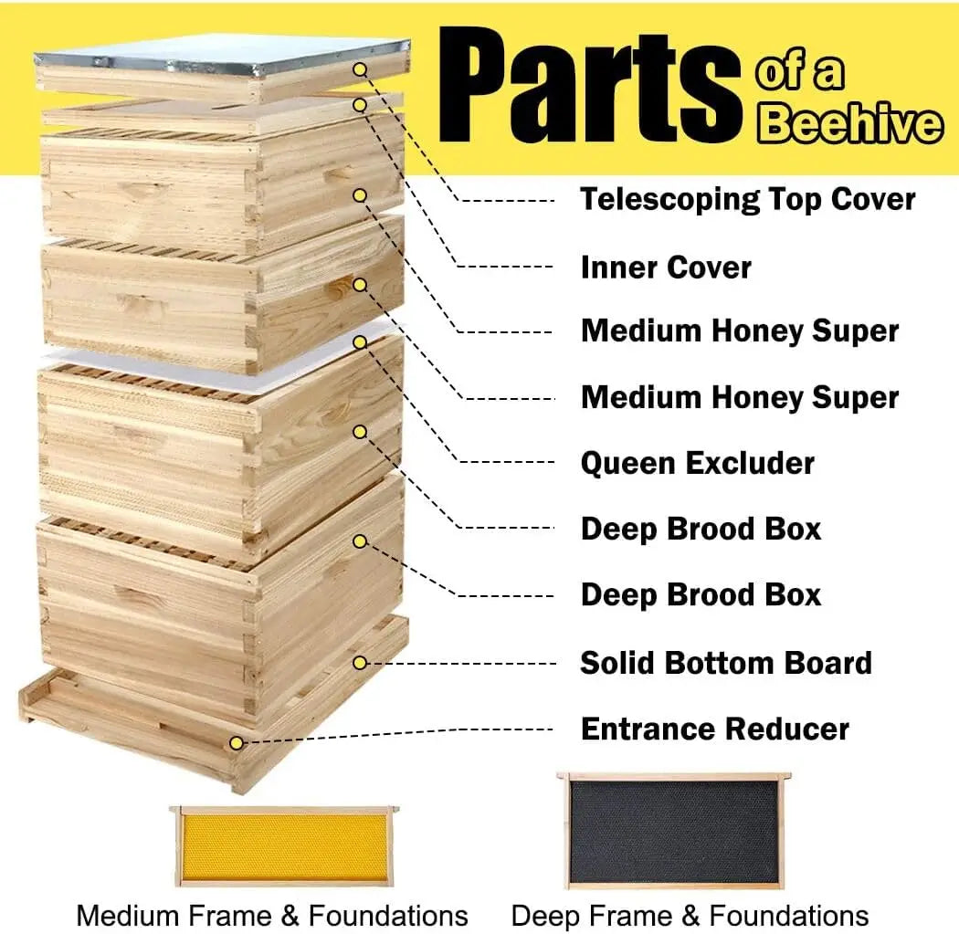 10-Frame Complete Bee Hive Starter Kit With Frames And Waxed Foundations.