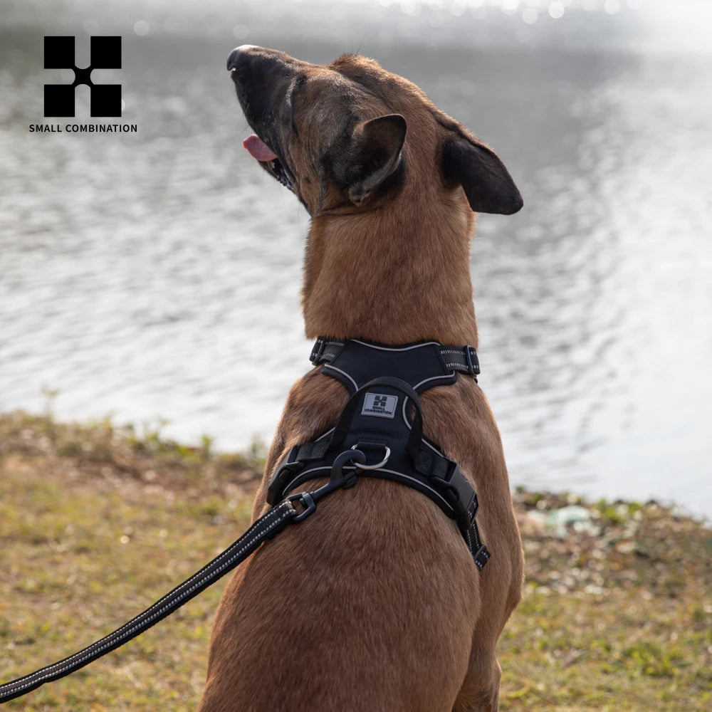 Personalized Dog Harness- No Pull- Reflective- Padded.