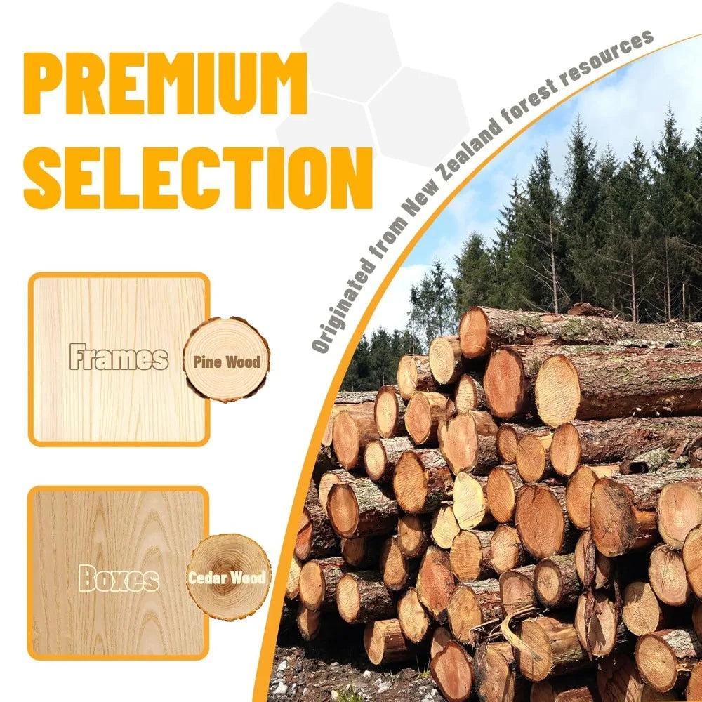 Gold Standard 8 Frame Bee Hive. Beeswax Coated. Includes Beehive Frames and Foundations. (2 Deep Boxes & 1 Medium Box)