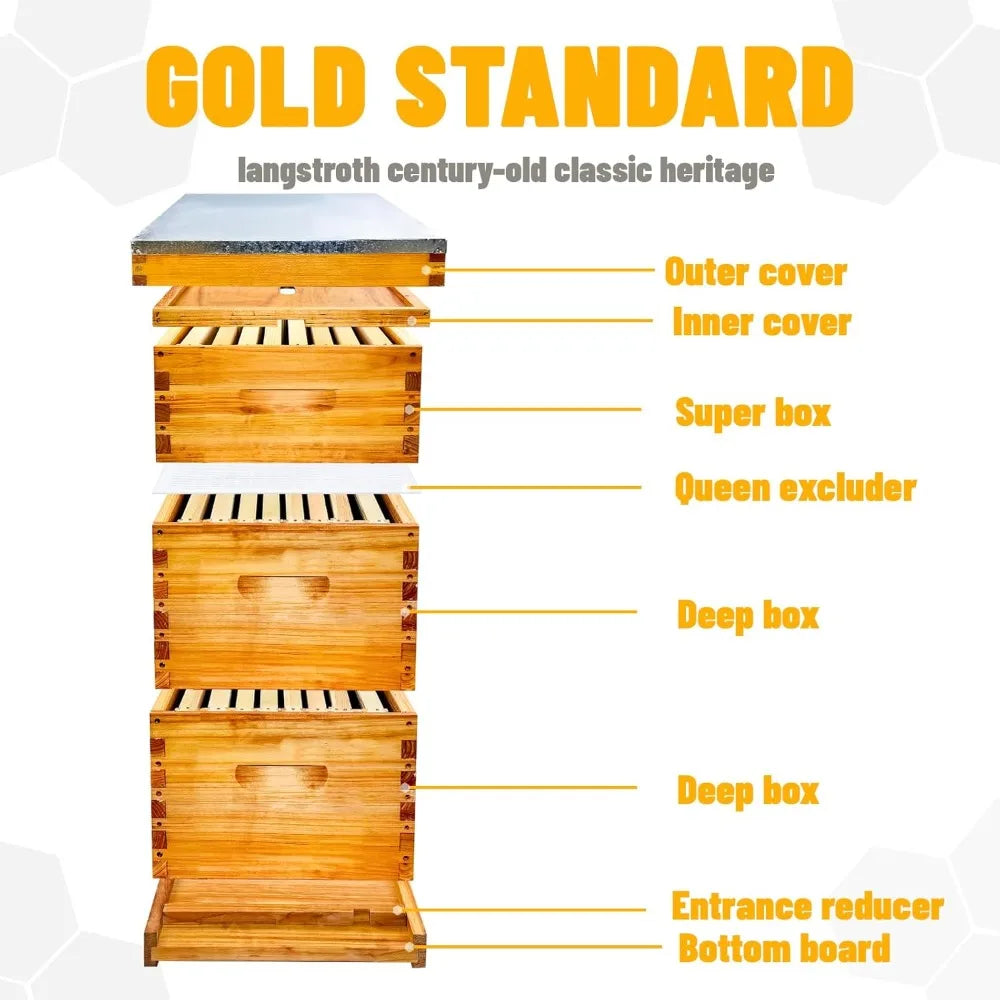 Gold Standard 8 Frame Bee Hive. Beeswax Coated. Includes Beehive Frames and Foundations. (2 Deep Boxes & 1 Medium Box)