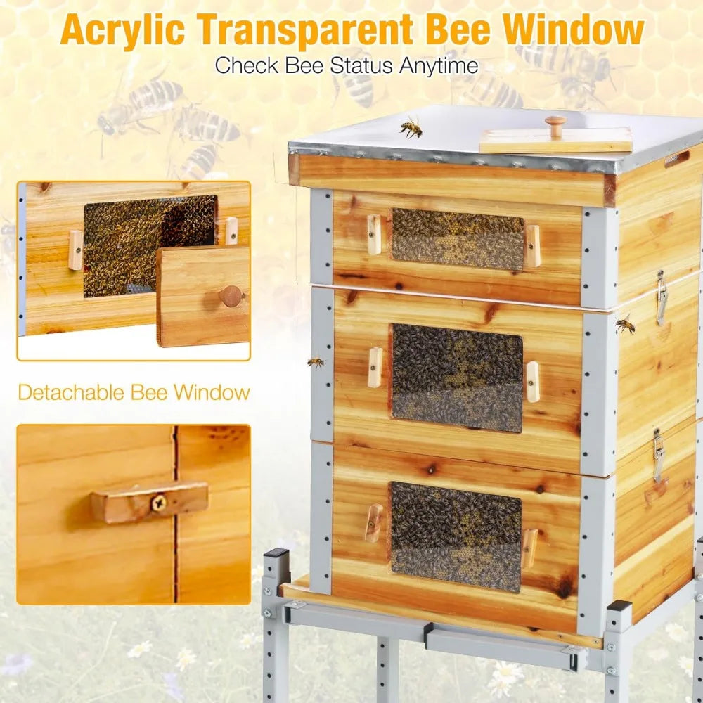 Bee Hive Starter Kit with Metal Stand.100% Beeswax Coated with 10 Medium and 20 Deep Frames & Foundations(3 Layer)