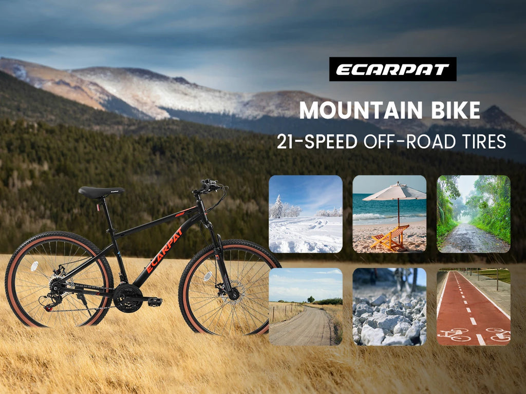 Ecarpat Mountain Bike - 24 Inch Wheel - 21-Speed - Dual Brakes.