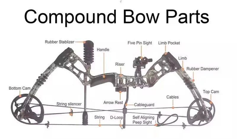 15-45 Pound Pull Beginner's Composite Bow Set For Right Handed  Shooting.