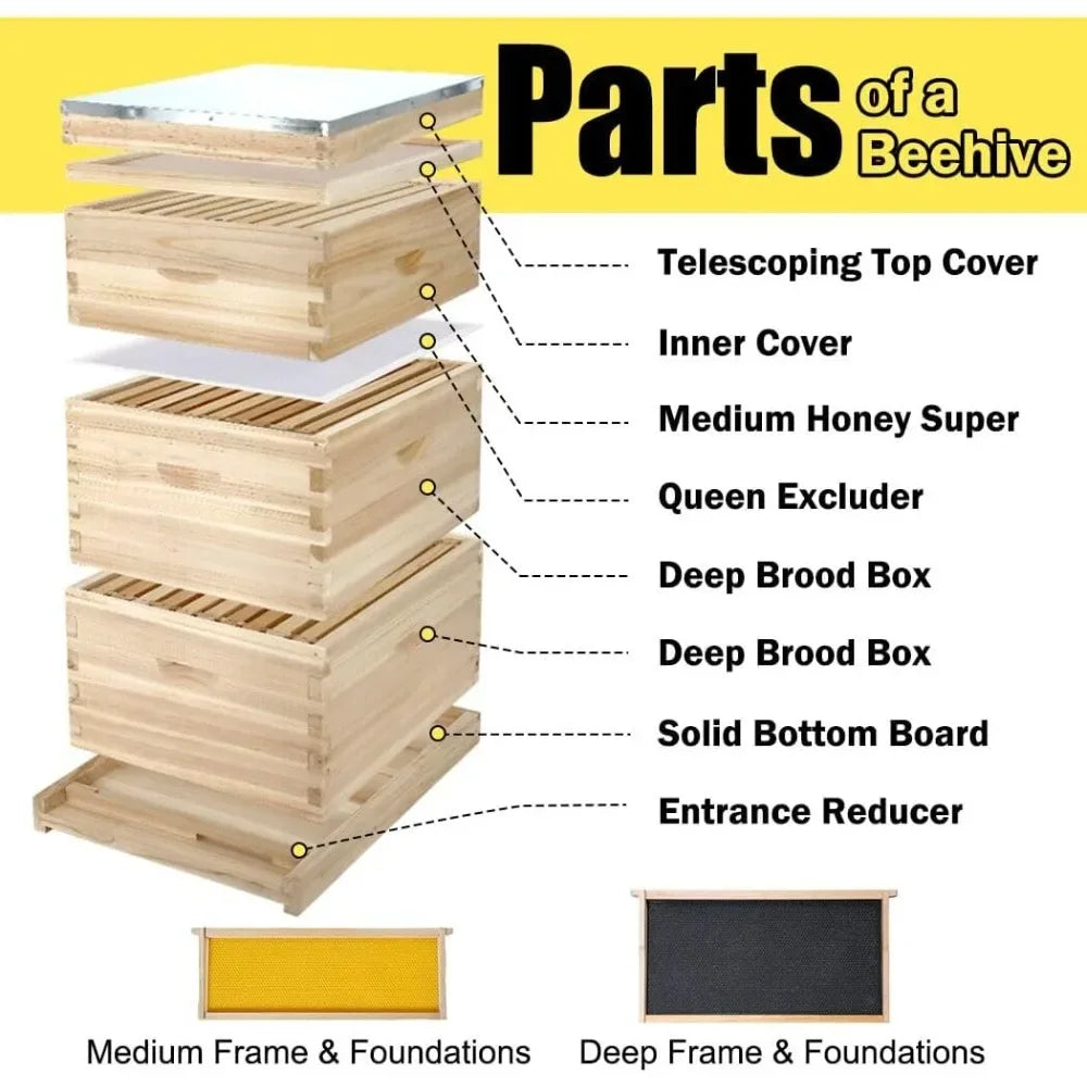 10-Frame Complete Bee Hive Starter Kit – Includes Frames & Waxed Foundations.
