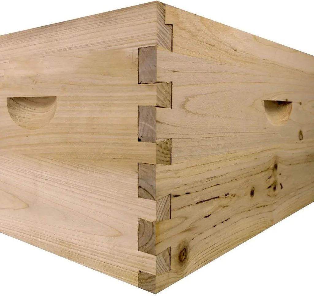 Bee Hive Complete with Frames & Wax Coated Foundations