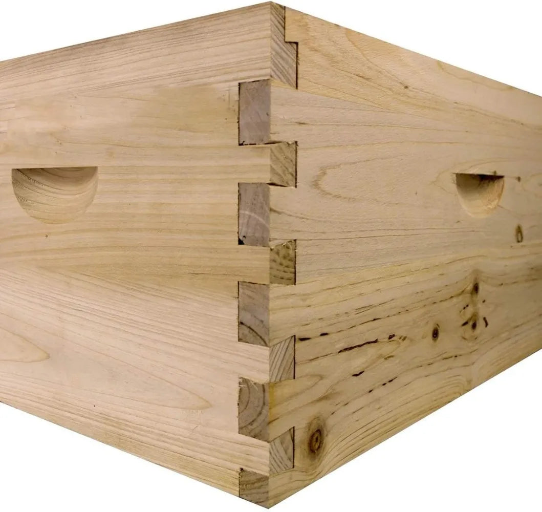 Bee Hive Complete with Frames & Wax Coated Foundations