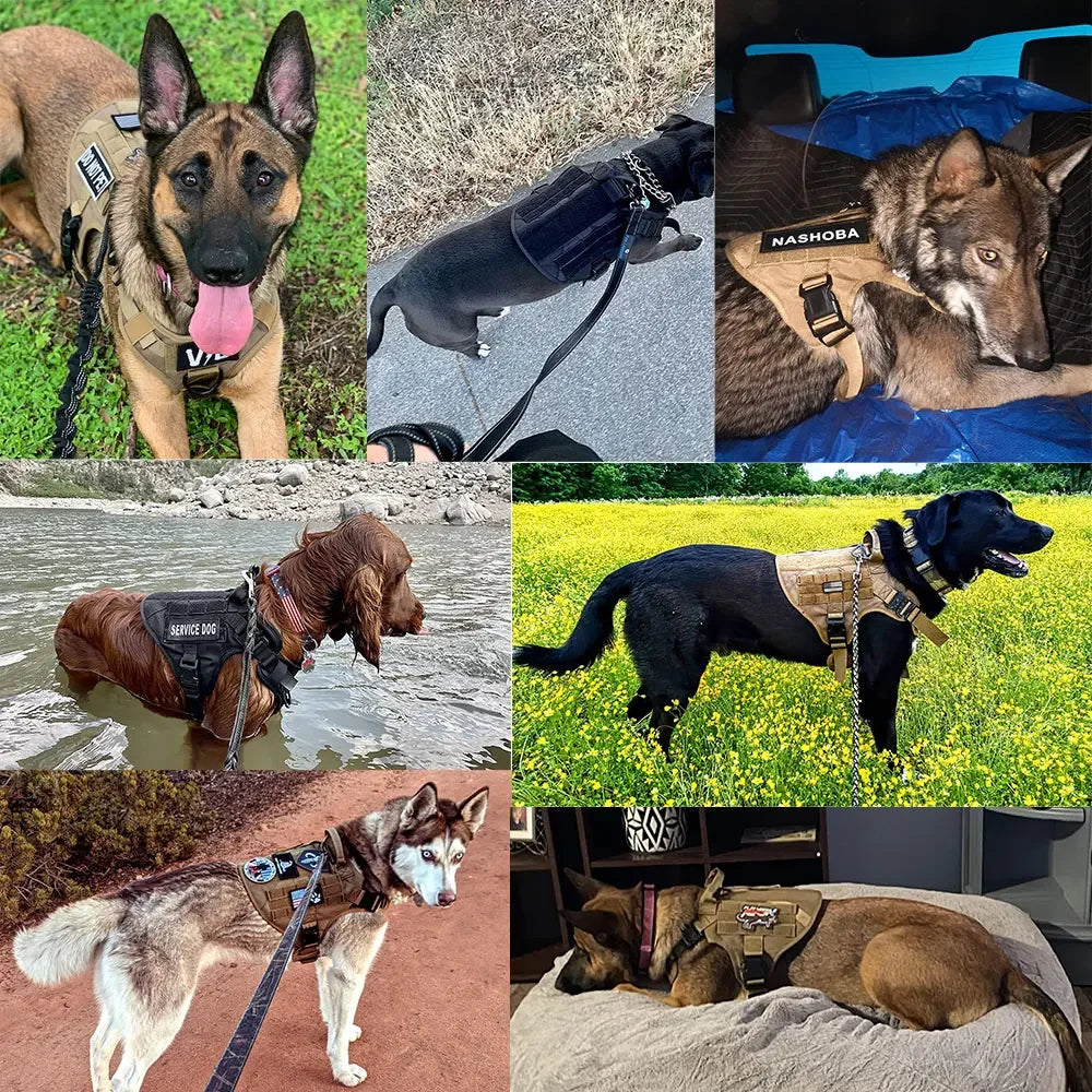 Tactical Dog Harness, Leash And Collar. Molle Pouches for Medium - Large Dogs. Adjustable Service Dog Harness.