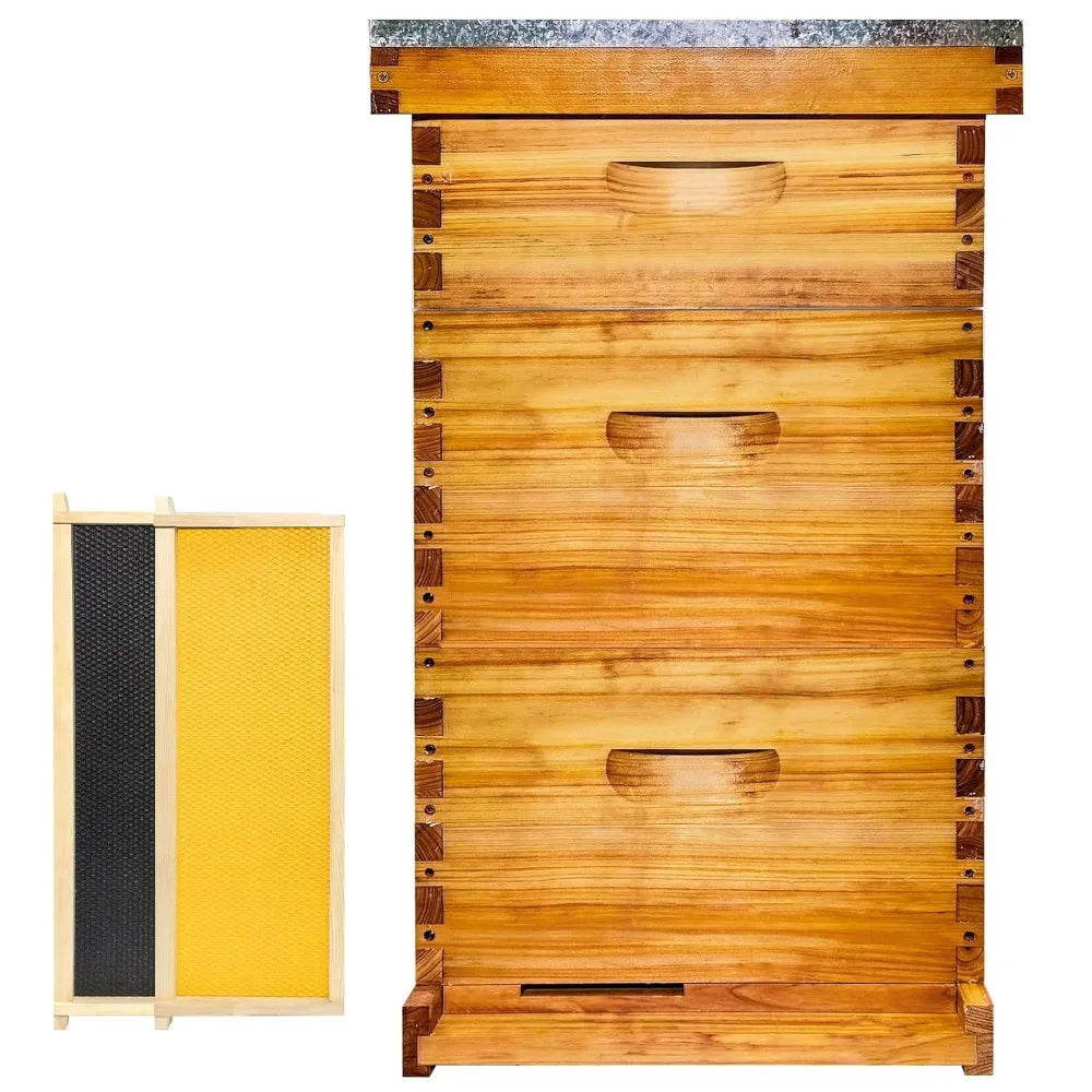 Gold Standard 8 Frame Bee Hive. Beeswax Coated. Includes Beehive Frames and Foundations. (2 Deep Boxes & 1 Medium Box)