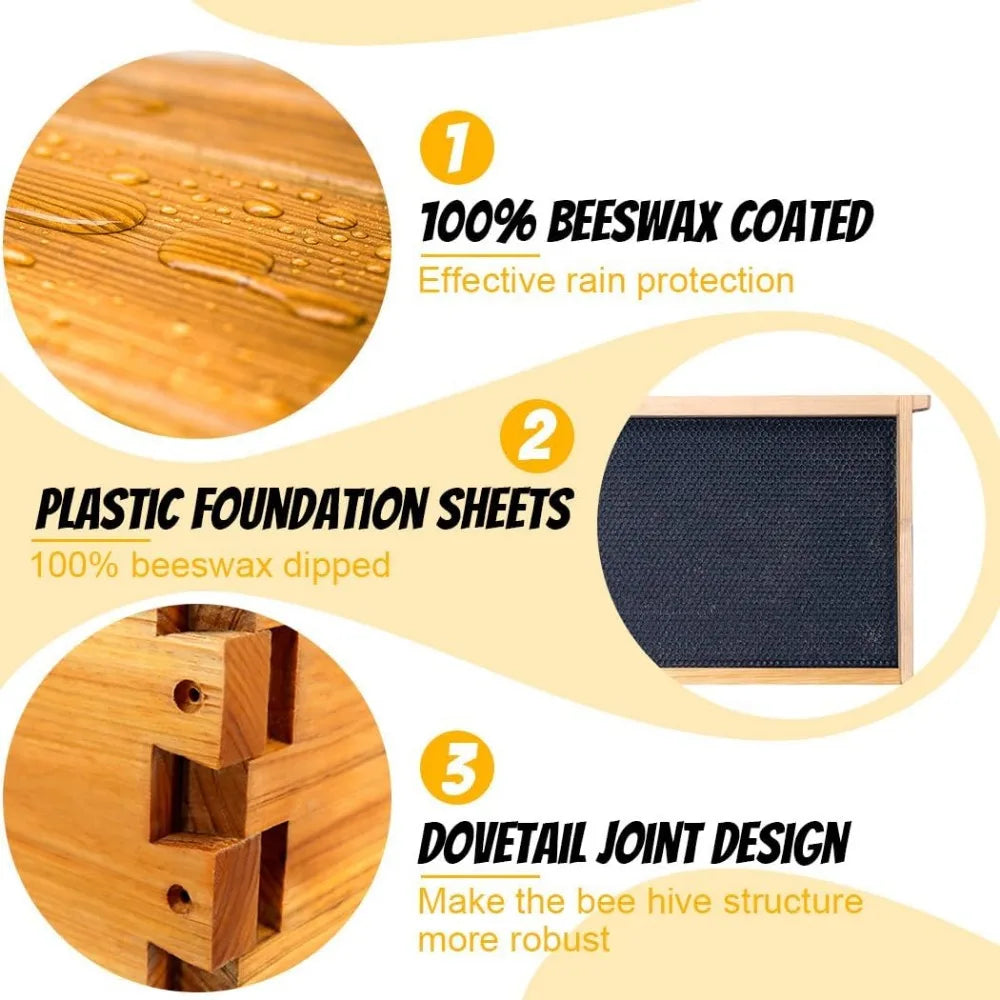 10 Frame Langstroth Complete Beehive Starter Kit Dipped In 100% Beeswax With Beehive Frames And Waxed Footings.
