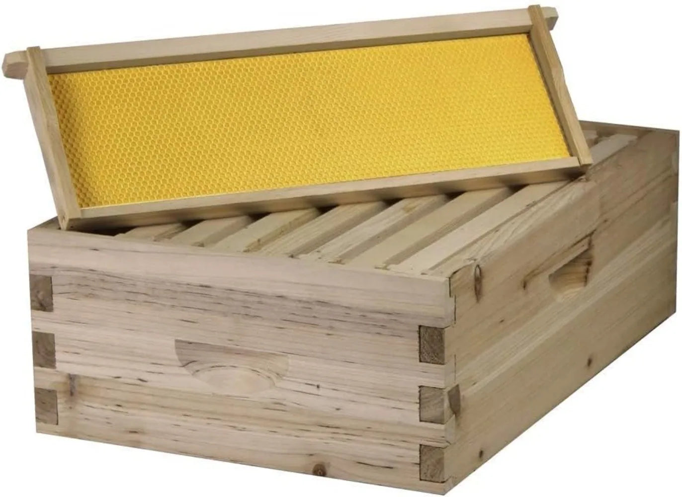 Bee Hive Complete with Frames & Wax Coated Foundations