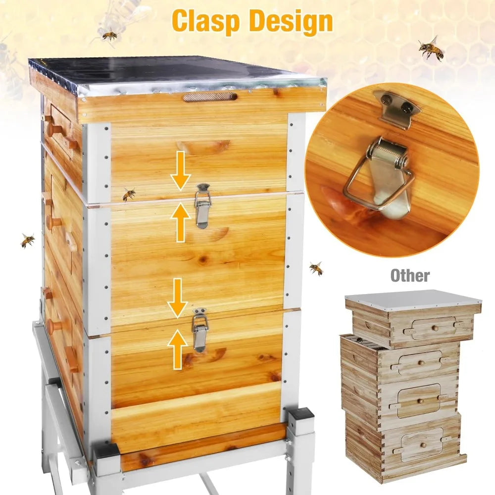 Bee Hive Starter Kit with Metal Stand.100% Beeswax Coated with 10 Medium and 20 Deep Frames & Foundations(3 Layer)