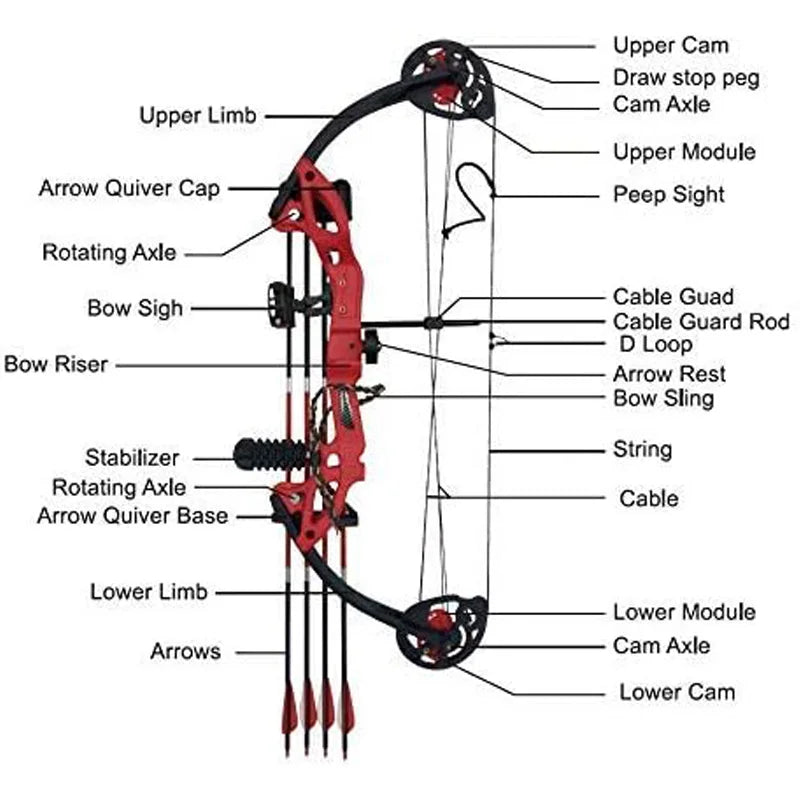 Compound Bow kit for Youth & Beginner, 15-29 Lbs 19”-28”.