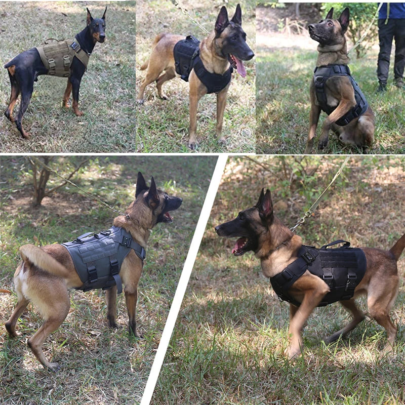 Tactical Military Vest,Tactical Training Dog Harness and Leash Set For All Breeds Dogs.