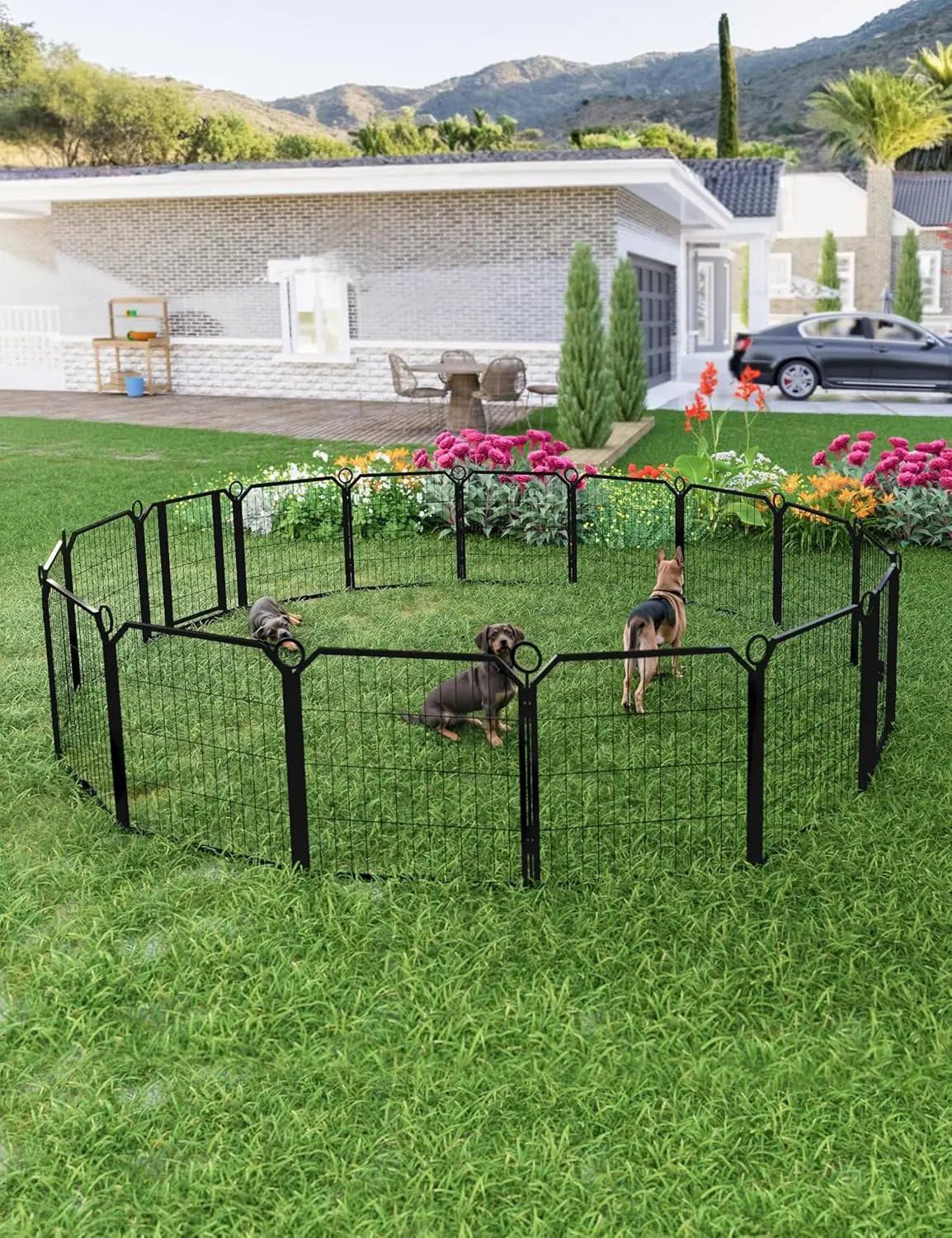 Heavy-Duty Portable Dog Playpen With Low-Step Entry.