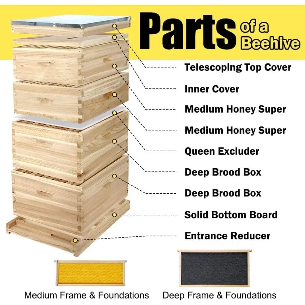 10-Frame Complete Bee Hive Starter Kit – Includes Frames & Waxed Foundations.