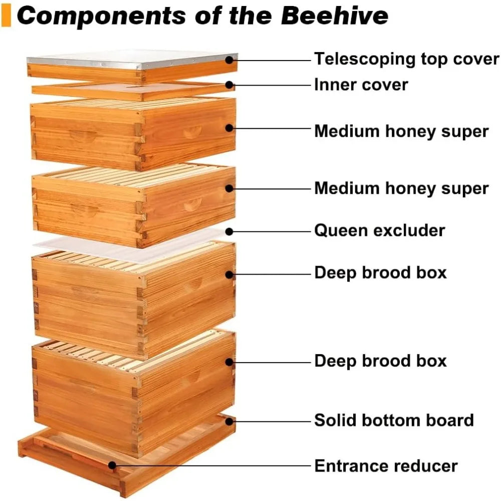 10 Frame Bee Hives, Hive Include 2 Deep Bee Box 2 Medium Beehive Box With Bee Frames And Wax Foundation.