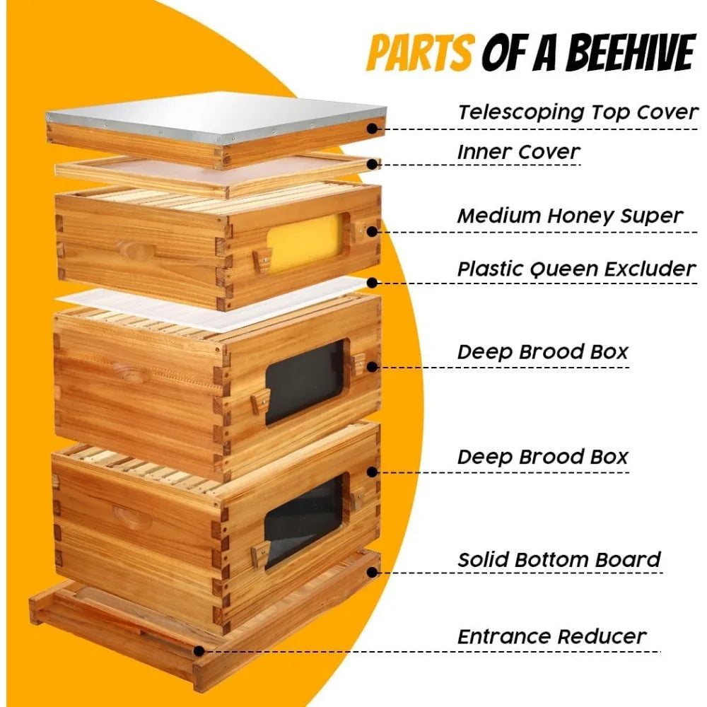 10 Frame Langstroth Complete Beehive Starter Kit Dipped In 100% Beeswax With Beehive Frames And Waxed Footings.