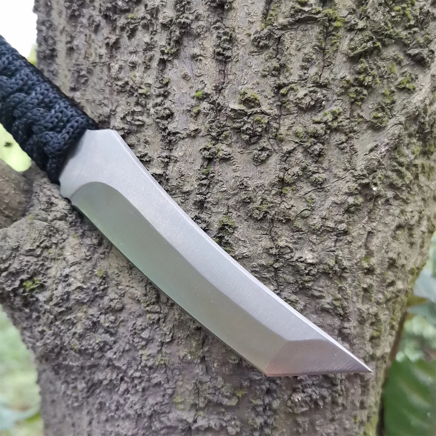 High carbon S.S. Fixed Blade Knife With Sheath And Cord.