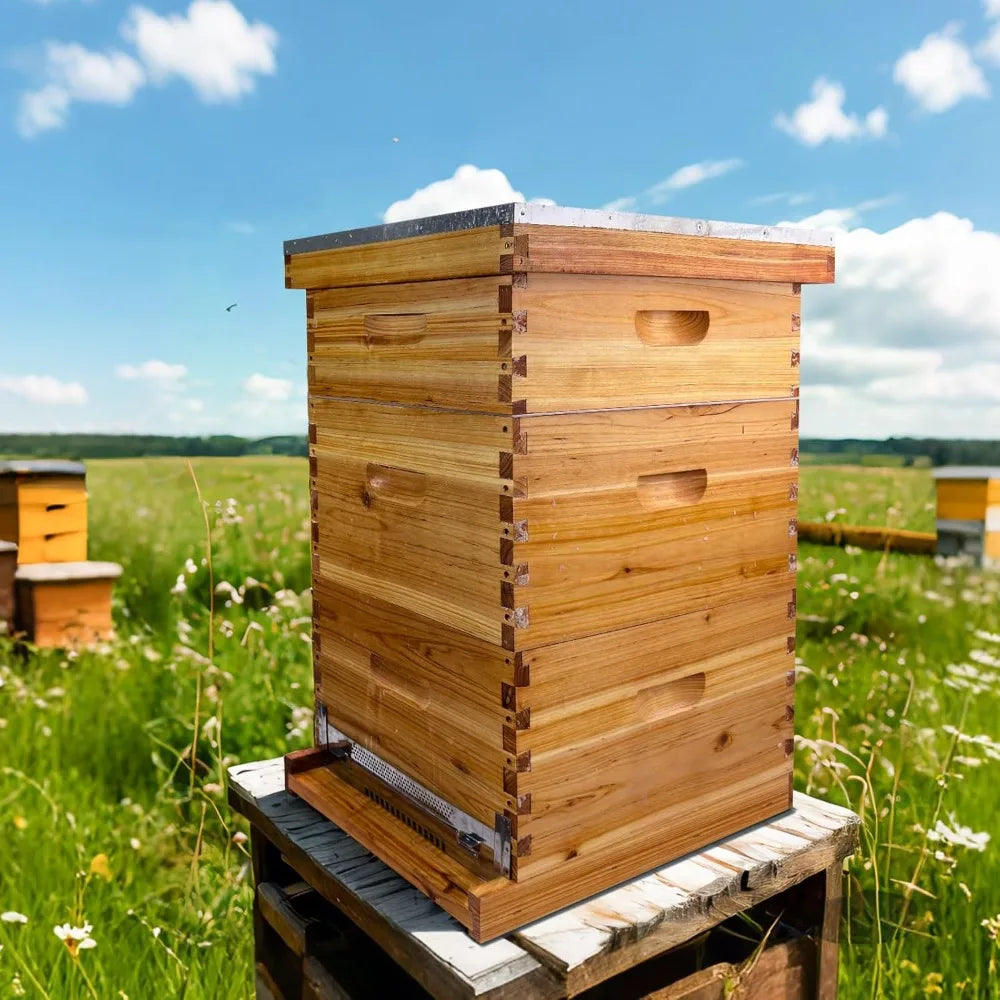 Gold Standard 8 Frame Bee Hive. Beeswax Coated. Includes Beehive Frames and Foundations. (2 Deep Boxes & 1 Medium Box)